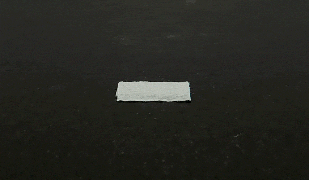 9e29fb5ea4f42dc717445b6a0265f4fb_1750827313_1372.gif